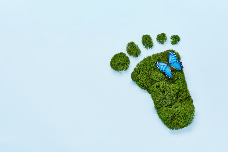 Futuro sostenibile